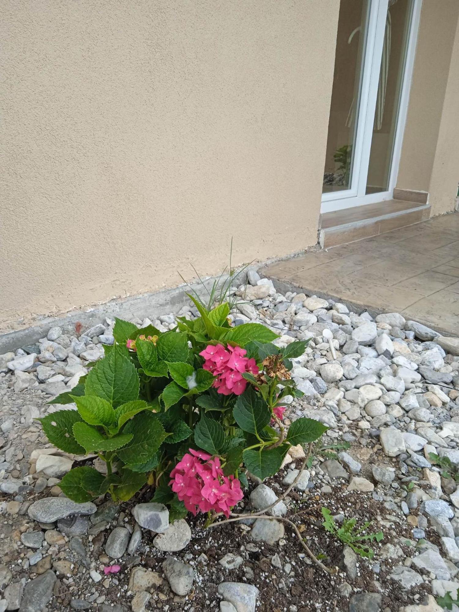 Sylias Village Skala Korinou Luaran gambar